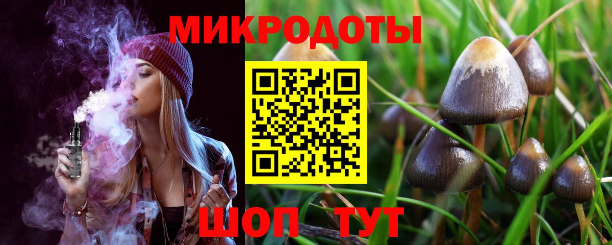 Псилоцибиновые грибы Psilocybe Воркута